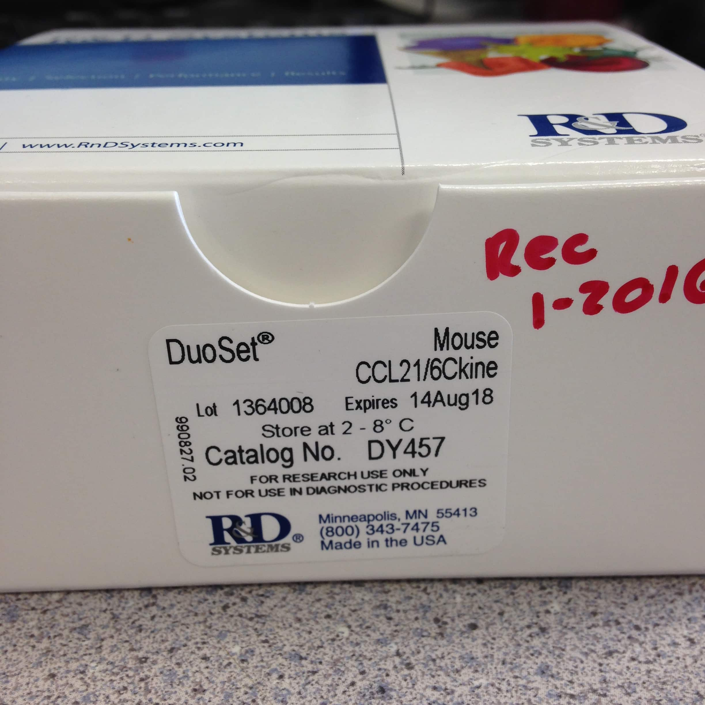 Mouse CCL21/6Ckine DuoSet ELISA DY457: R&D Systems